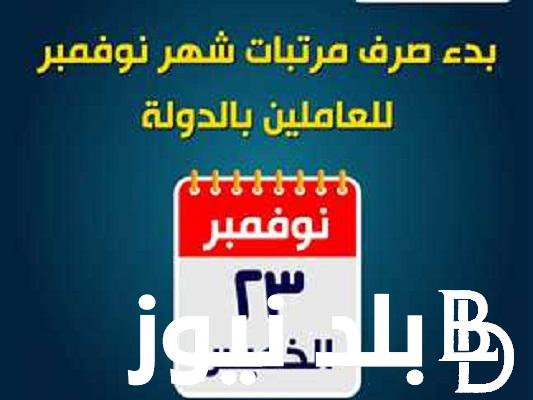 الآن.. موعد صرف مرتبات شهر نوفمبر 2023 و جدول صرف الرواتب بالزيادة الجديدة وفقًا لوزارة المالية