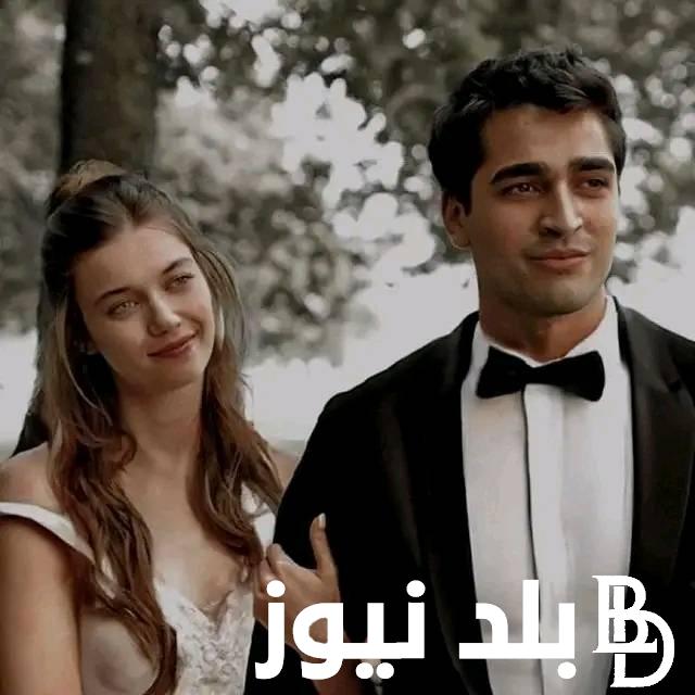 “Yalı Çapkın ح ٥٠” تشغيل  مسلسل طائر الرفراف الحلقة 50 على ماي سيما 2024 بجودة HD تابع الحلقة 50 مسلسل طائر الرفراف اليوم على قصة عشق