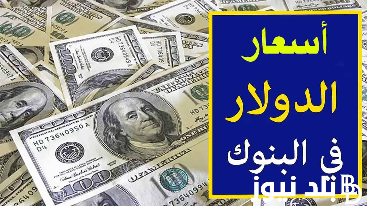 “الدولار شعللها” سعر الدولار مقابل الجنيه السوق السوداء اليوم السبت 23-12-2023