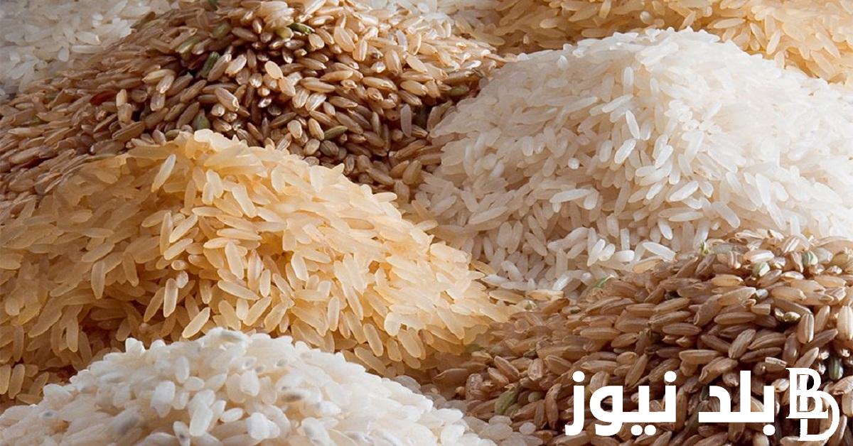 “أعلى سعر” كم سعر طن الأرز الشعير اليوم السبت 16-12-2023 في جميع الأسواق