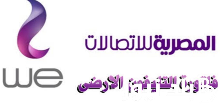 رسمياً.. أسعار باقات الانترنت الأرضي وي وقائمة أسعار باقات الإنترنت الأرضي