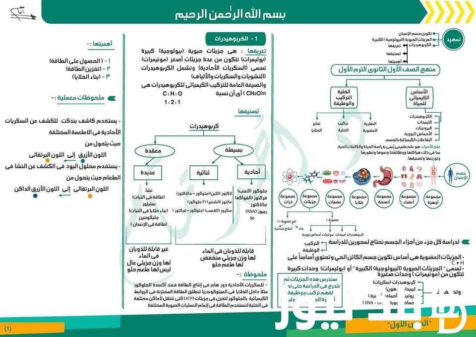 “في 21 ورقة فقط” ملخص احياء اولى ثانوي الترم الاول 2023/2024 PDF عبر موقع وزارة التربية والتعليم