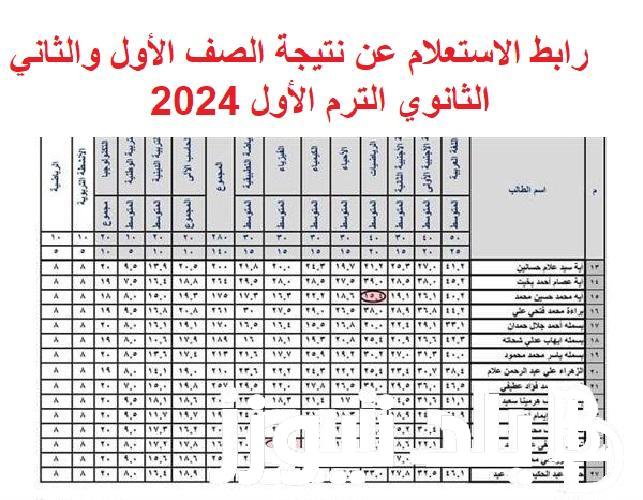 االآن g12.emis.gov.eg.. لينك نتيجة الصف الأول والثاني الثانوي 2024 الترم الأول بالاسم ورقم الجلوس من بوابه الثانوية العامة موقع وزارة التربية والتعليم 