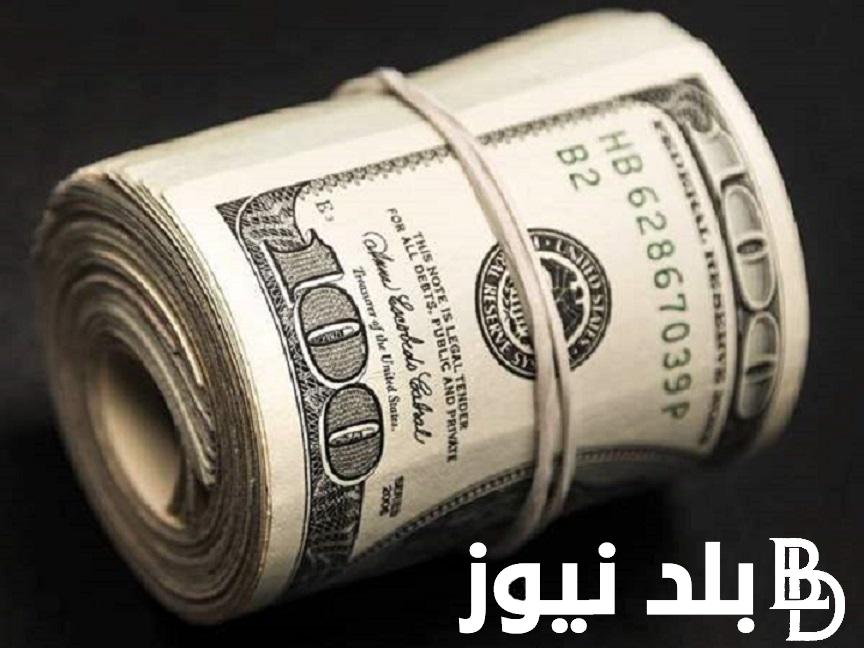 “الدولار في العالي” سعر الدولار اليوم في مصر تحديث يومي بتاريخ 13 يناير 2024 امام الجنيه في السوق الموازي والبنوك المصرية