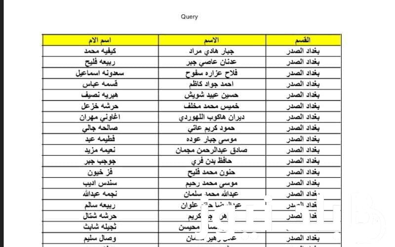 استخراج الان pdf كشوفات اسماء المشمولين فى الرعاية الاجتماعية بالعراق 2024 من موقع وزارة العمل العراقية برابط شغال