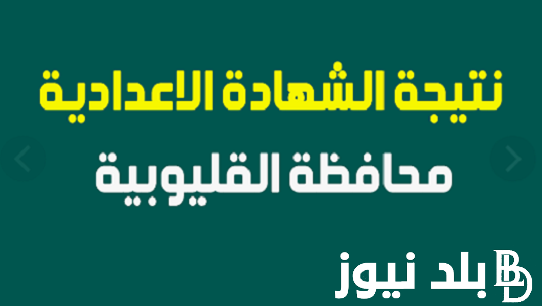 خلال ساعات.. نتيجة الشهاده الاعدادية 2024 محافظة القليوبيه برقم الجلوس عبر موقع نتيجة نت الالكتروني natiga-4dk.net