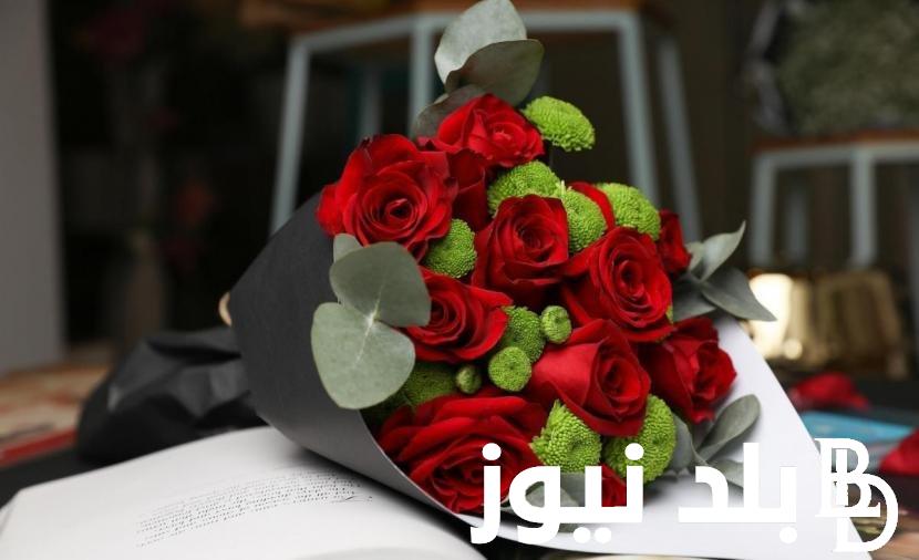 “Joyeuse saint Valentin” متى عيد الحب 2024.. كيف اعايد حبيبي في عيد الحب؟