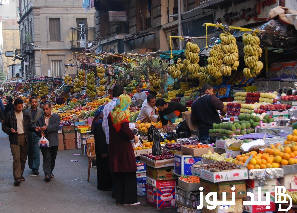 قائمة أسعار الخضروات في سوق العبور اليوم الأحد 14 يناير 2024 وفي السوق المحلي