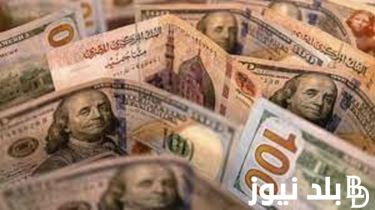 “الاخضر ولعها نار” 500 دولار كم جنيه مصري في السوق السوداء؟ تعرف الان على سعر الدولار في مصر بالتفصيل