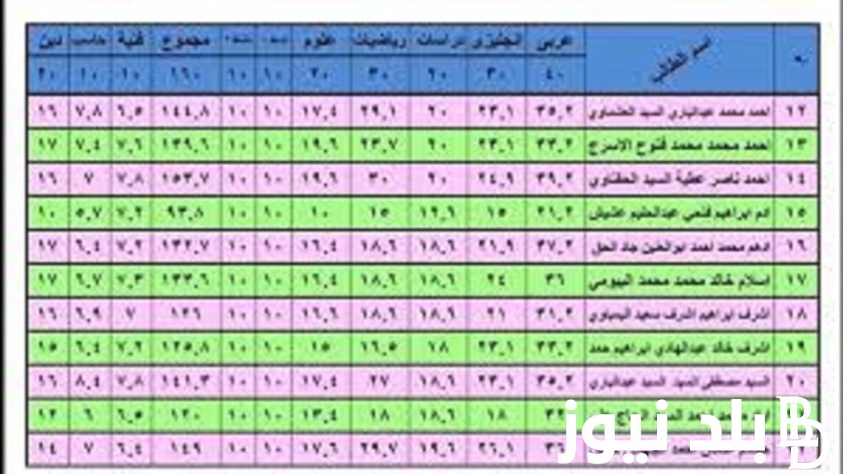 الان نتيجة الصف الثاني الإعدادي برقم الجلوس والاسم الترم الاول 2024 عبر موقع نتيجة نت natiga-4dk.net