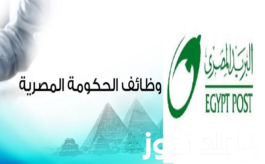 متاحة الآن.. رابط التقديم في وظائف البريد المصري 2024 عبر” jobs.caoa.goeg” بوابة الوظائف الحكومية وآخر موعد للتقديم