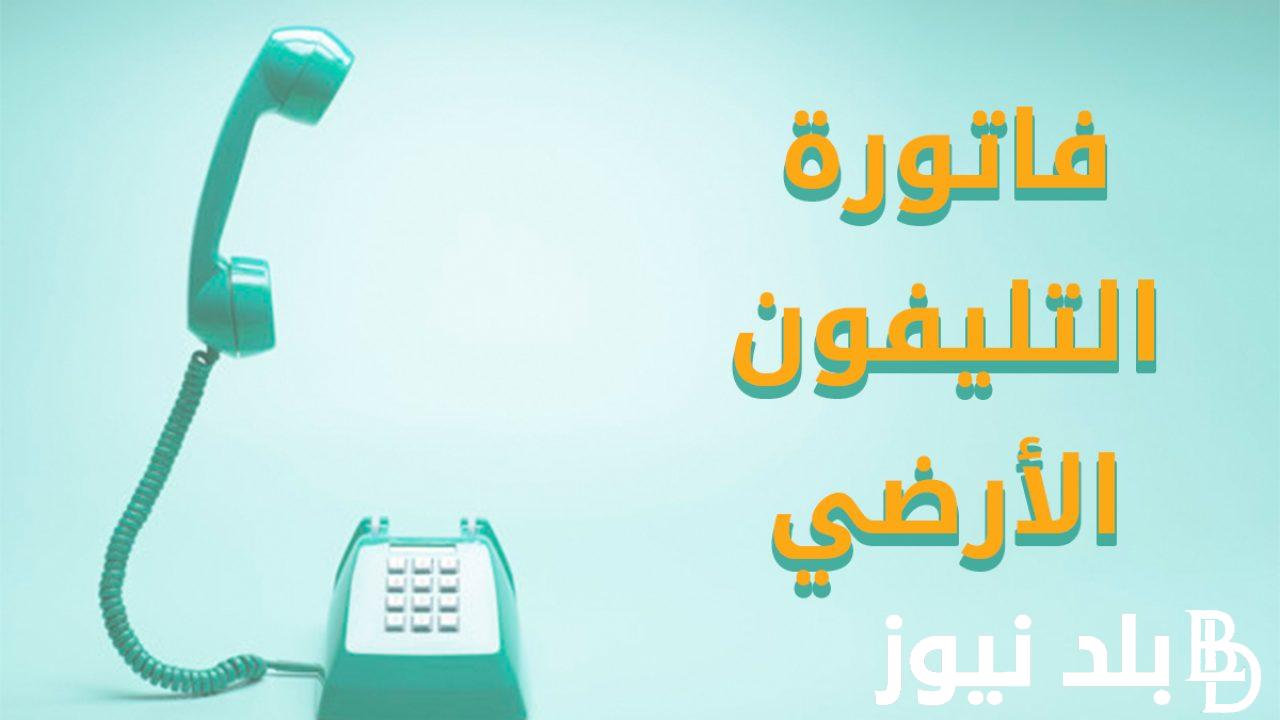 من هُنا.. فاتورة الخط الارضي وي يناير 2024 ومعرفة قيمة الفاتورة برقم الخط عبر billing.te.eg