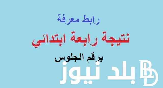 ظهور نتيجة الصف الرابع الابتدائي الترم الأول 2024 بالرقم القومي وبالألوان على موقع وزراة التربية والتعليم