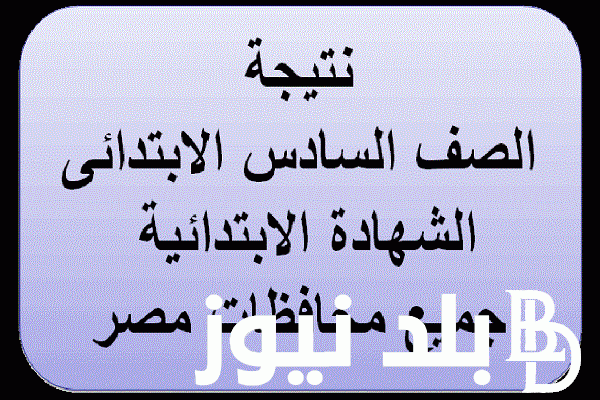 “أستخرج الآن” نتيجة الصف السادس الابتدائي 2024 بالاسم فقط عبر موقع البوابة الالكترونية لجميع المحافظات