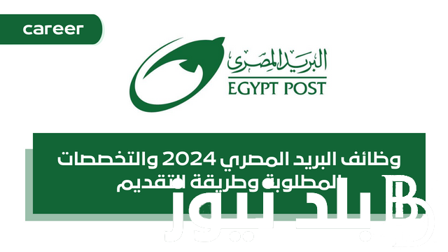 “egyptpost.gov.eg” رابط وخطوات التقديم علي وظائف البريد المصري 2024 لــ900 وظيفة من الموقع الرسمي والأوراق المطلوبة للتقديم