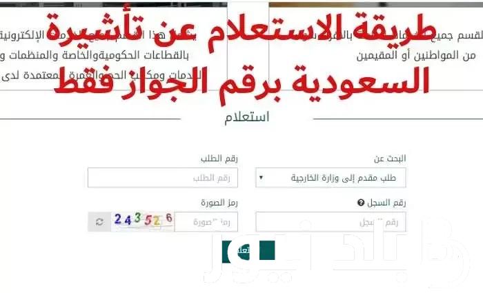 مجانًا.. رابط استعلام عن تأشيرة عمرة برقم الجواز 1445 عبر منصة التأشيرات الالكترونية