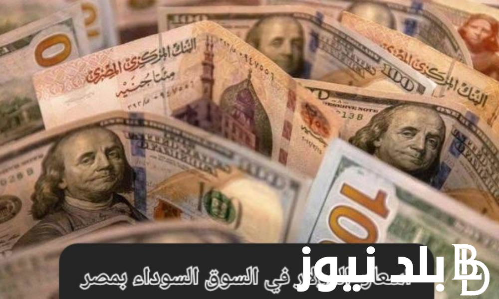 “بعد الانهيار” سعر الدولار في السوق السوداء اليوم الاثنين 26 فبراير 2024 في مصر