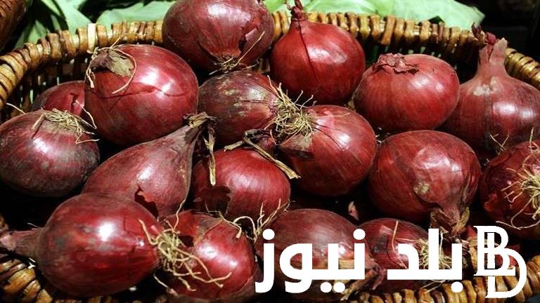 “وصل لكام؟” كم سعر البصل في السعودية 1445 وما هي أسباب ارتفاع سعر البصل في السعودية