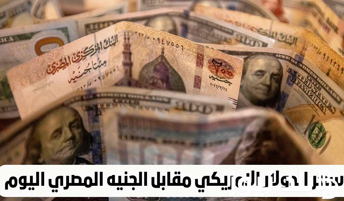 هبوط جديد.. سعر الدولار مقابل الجنيه المصري في السوق السوداء اليوم الاثنين 26/2/2024 في مصر