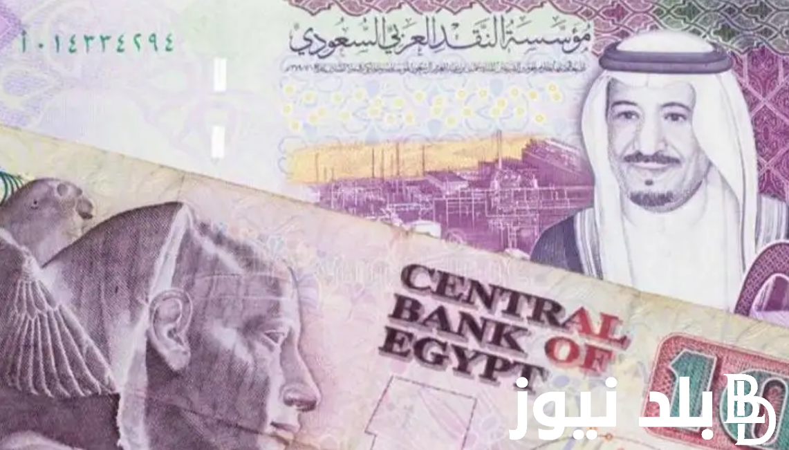 انهيار السعودي.. سعر الريال السعودي اليوم في السوق السوداء والبنوك الاربعاء 28/2/2024