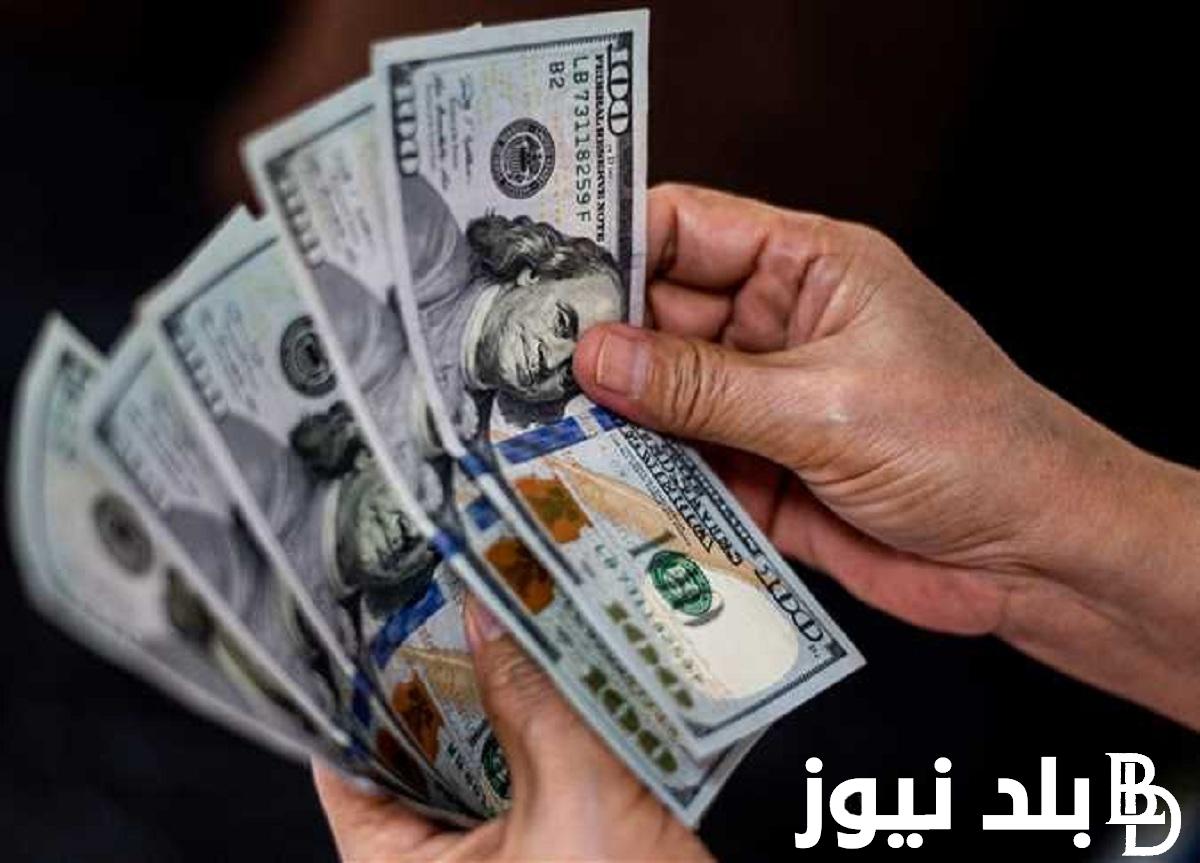 “الاخضر ناوي علي ايه” سعر الدولار في السوق السوداء في مصر اليوم الاحد 11 فبراير 2024 والبنوك المصرية