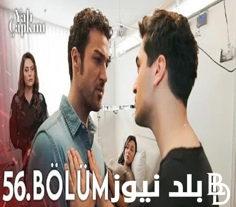 “Yali Çapkini حـ ٥٦” ..  مسلسل طائر الرفراف الحلقة 56 مجاناً مترجمة على ايجي بست والقنوات الناقلة مسلسل فريد