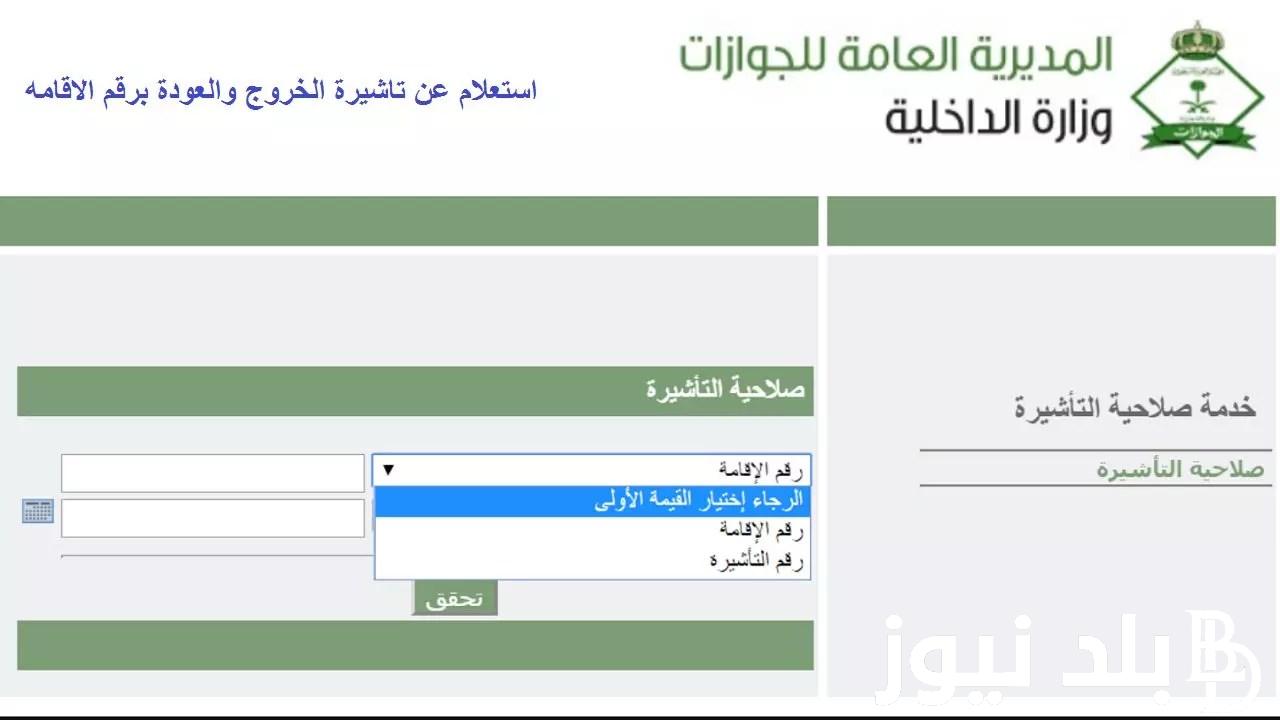 هُنا الآن.. استعلام عن تأشيرة برقم الطلب 2024/1445 عبر منصة التأشيرات الإلكترونية visa.mofa.gov.sa