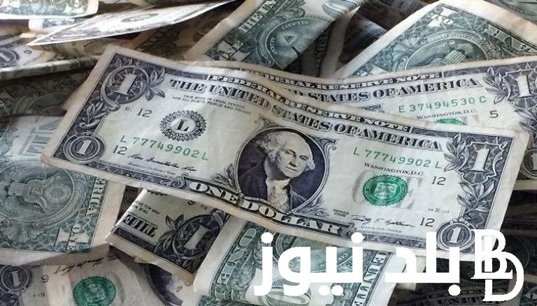 “شكل الدولار هيعملها تاني” سعر الدولار مقابل الجنيه بالسوق السوداء والبنوك اليوم الاربعاء 14 فبراير 2024