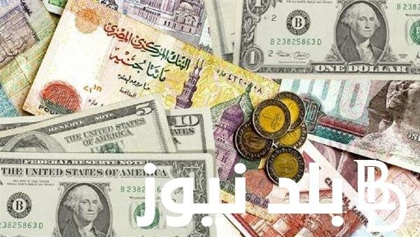 صدمة السوق السوداء.. سعر الدولار في السوق السوداء اليوم لحظة بلحظة الخميس 29 فبراير 2024