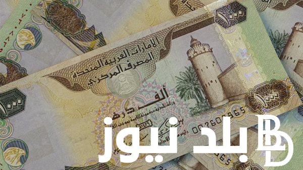 الدرهم رايح  علي فين ؟.. سعر الدرهم الاماراتي مقابل الجنيه المصري اليوم في السوق السوداء بتاريخ 15 فبراير 2024