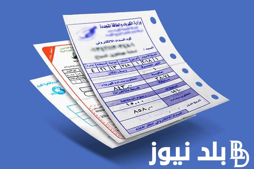 تسجيل دخول.. رابط الاستعلام عن فاتورة الكهرباء برقم العداد 2024 لشهر فبراير عبر موقع وزارة الكهرباء والطاقة eehc.gov.eg