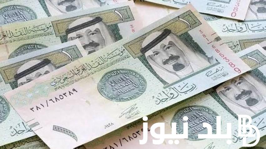 “السعودي وصل لكام؟” 100 ريال سعودي كم يساوي جنيه مصري؟ | سعر الريال السعودي في السوق السوداء الاثنين 26 فبراير 2024