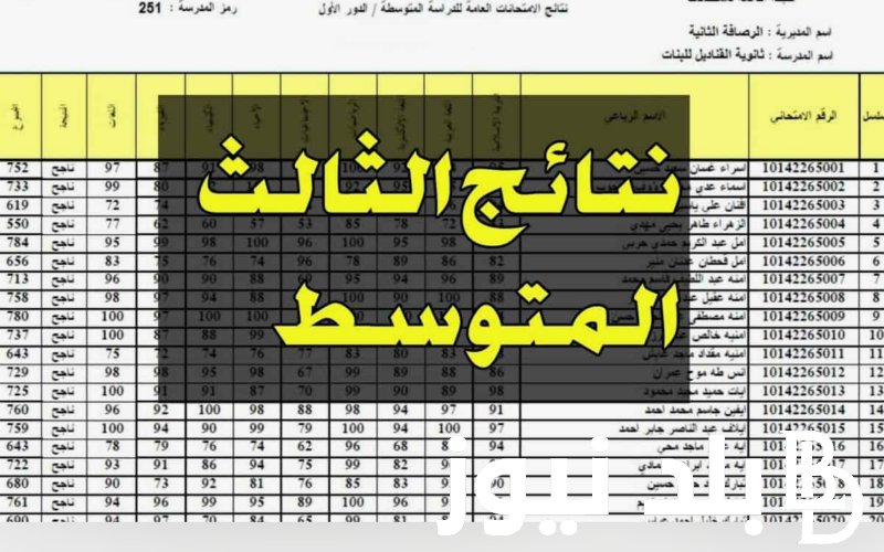 ظهرت الان نتائج الثالث متوسط 2024 التمهيدي بجميع المحافظات pdf بالعراق