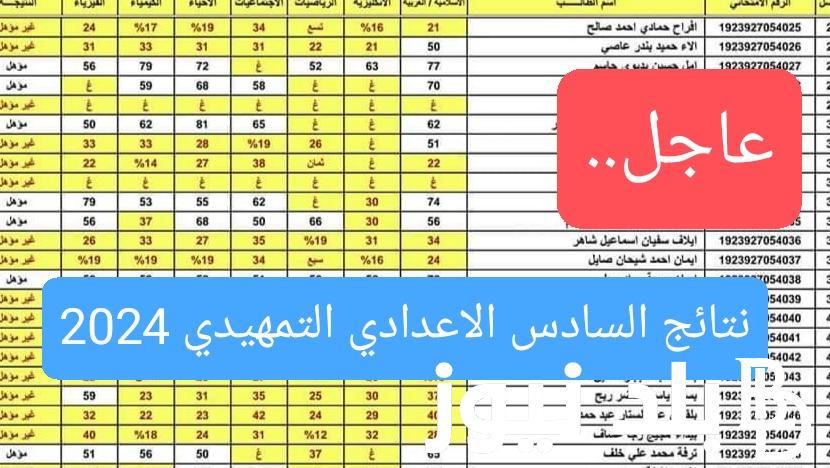 تحميل نتائج التمهيدي 2024 السادس الاعدادي pdf موقع نتائجنا