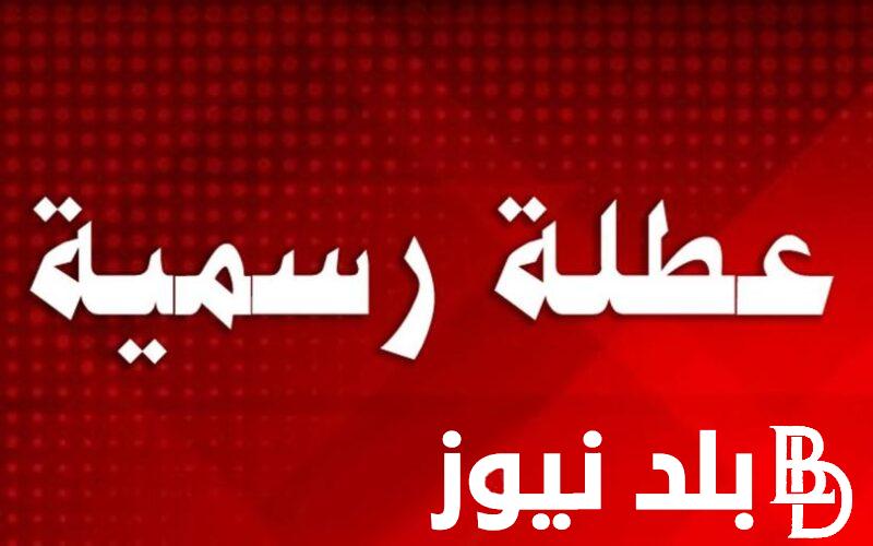 “عطلة ام دوام؟” هل الاحد عطلة رسمية في العراق وفقاً لمجلس الوزارء العراقي