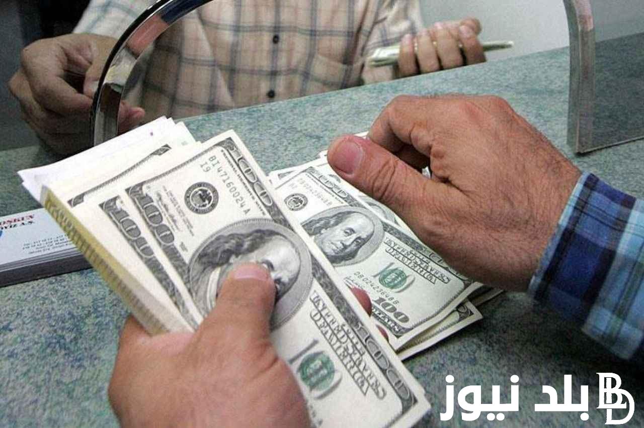 “الاخضر يوم تحت ويوم فوق” سعر الدولار اليوم في مصر تحديث يومي في السوق السوداء بتاريخ 8 فبراير 2024 في التعاملات اليومية