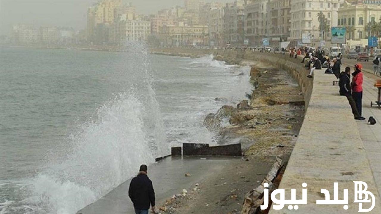 عاجل تعطيل الدراسة غداً في القاهرة والاسكندرية بسبب التقلبات الجوية حقيقة ام لا.. تعرف علي التفاصيل كاملة