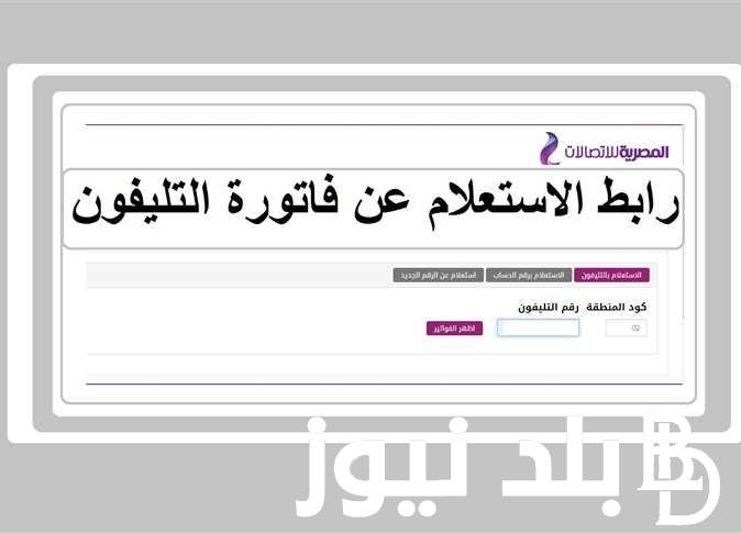 “استعلم حالا” استعلام عن فاتورة التليفون الارضي بالاسم والرقم عبر موقع المصرية للاتصالات