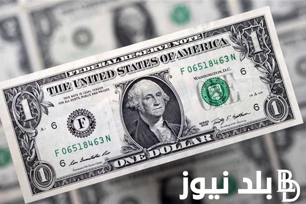 وصل كام؟ سعر الدولار اليوم في السوق السوداء وجميع البنوك الاثنين 26 فبراير 2024