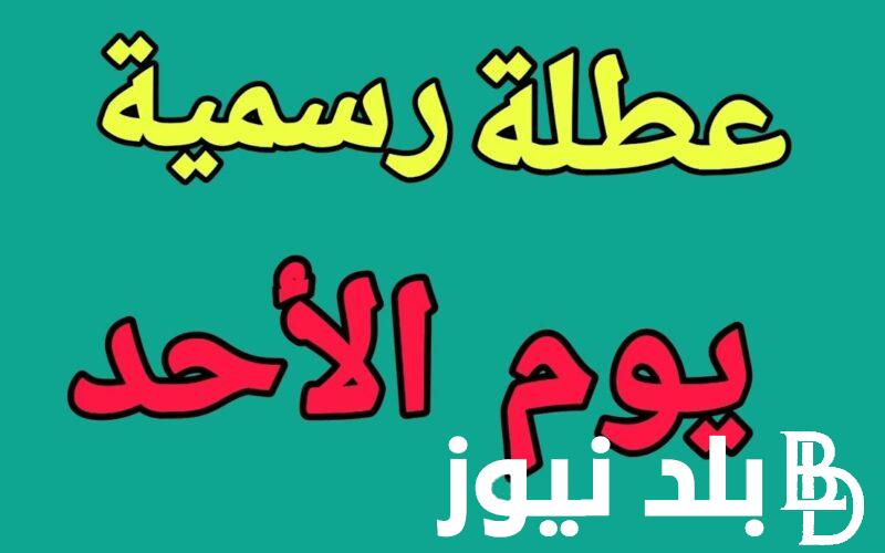 “عُطلة عامة للموظفين” عطلة رسمية في العراق يوم الاحد.. مجلس الوزراء يُعلن عن العطلات المتبقية حتي نهاية العام