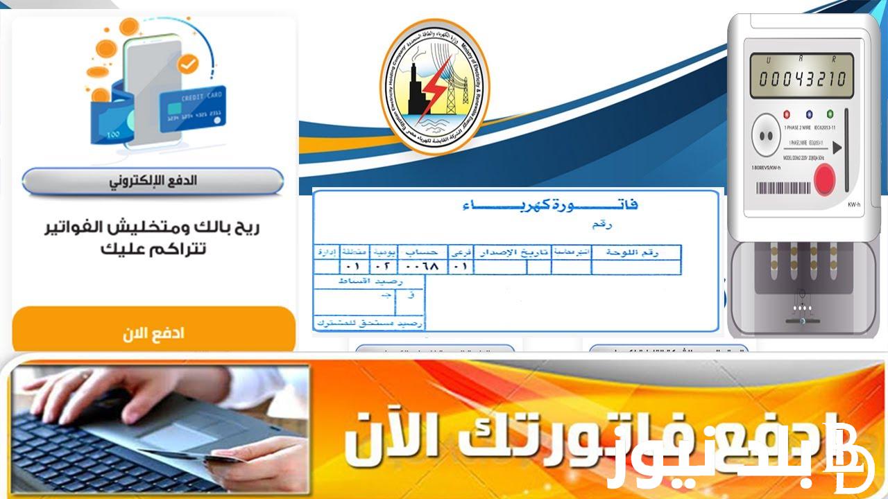 لينك الاستعلام عن فاتورة الكهرباء لشهر فبراير 2024 برقم العداد عبر موقع وزارة الكهرباء moee.gov.eg