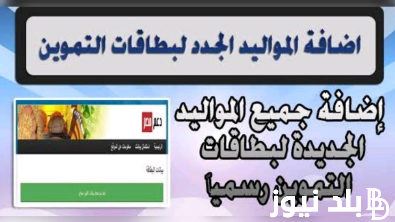 الان.. رابط بوابة مصر الرقمية لإضافة المواليد 2024 بالشروط والأوراق المُوضحة من وزارة التموين