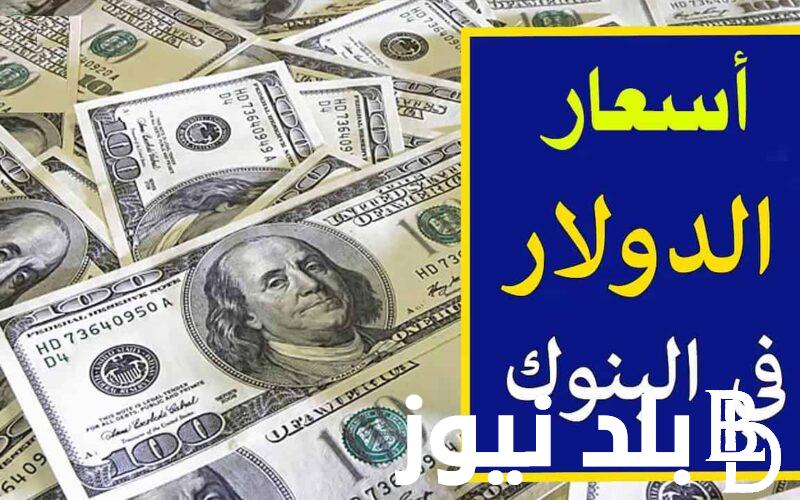 مفاجأة في سعر الدولار في السوق السوداء اليوم الاثنين 26 فبراير 2024 في مصر