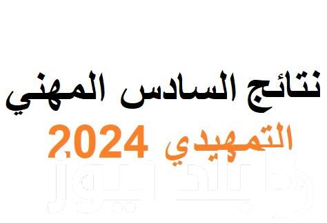 “الآن” استظهار نتائج السادس مهني تمهيدي 2024 الخارجي عبر موقع نتائجنا عموم العراق