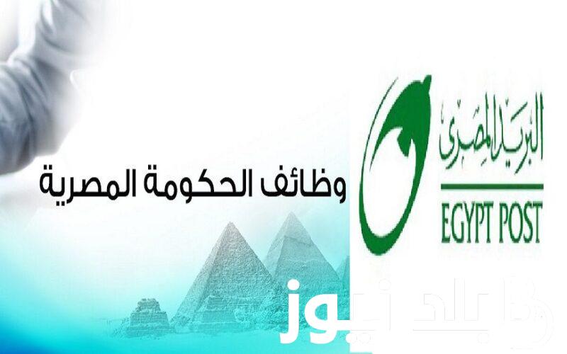 عا\\جل .. آخر موعد للتقديم في وظائف البريد المصري 2024 رابط التقديم وأهم الشروط المطلوبة jobs.caoa.gov.eg  موقع بوابة الوظائف الحكومية