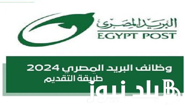 الحق قدم .. لينك التقديم في وظائف البريد المصري 2024 عبر بوابة الوظائف الحكومية jobs.caoa.gov   وشروط التسجيل بعد مد فترة