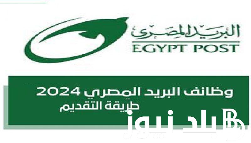 “بعد مد التقديم”… لينك التقديم على وظائف البريد المصري 2024 عبر بوابة jobs.caoa.gov.eg الوظائف الحكومية وشروط التسجيل