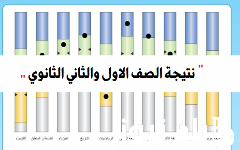 معتمدة g12.emis.gov.eg.. رابط استعلام نتيجة الصف الأول والثاني الثانوي 2024 الترم الأول كل المحافظات بوابه الثانوية العامة وزارة التعليم بالاسم ورقم الجلوس