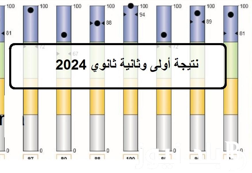 ظهرت الآن.. لينك نتيجة أولى وثانية ثانوي 2024 الترم الأول برقم الجلوس كل المحافظات بوابه الثانوية العامة وزارة التعليم g12.emis.gov.eg