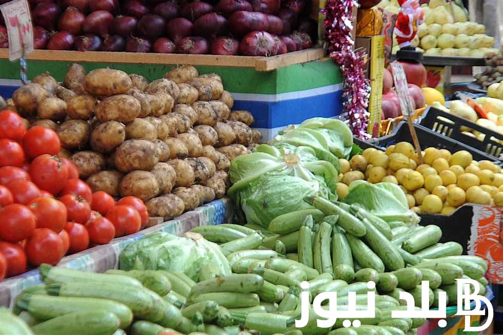 الآن ننشُر أسعار الخضروات والفاكهة بمصر اليوم الاحد 24/ 3/ 2024 في جميع الاسواق المحلية